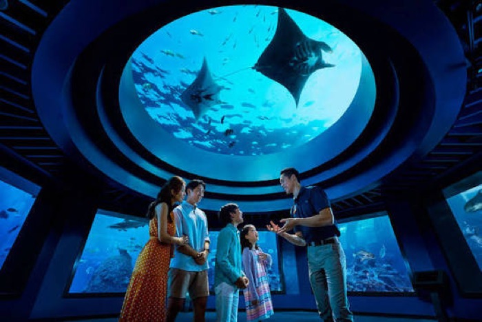 Visitors at the Singapore Oceanarium